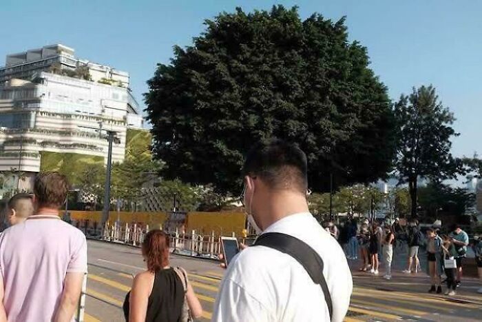 The Biggest Hair You’ve Ever Seen