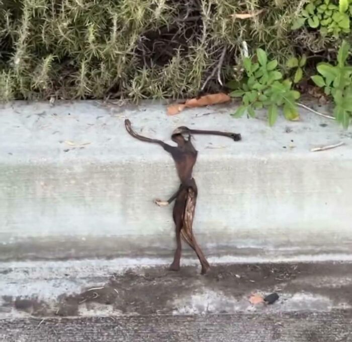 Not Your Average Visit: Uncontacted Island Man Warning