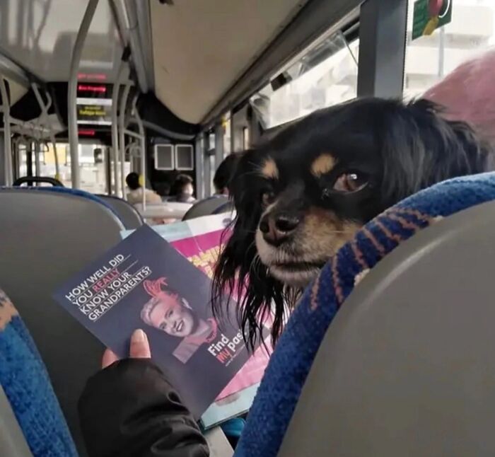 Mind Your Own Business, Human!