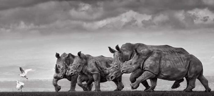 “The Rugby Players” By Preet And Prashant Chacko