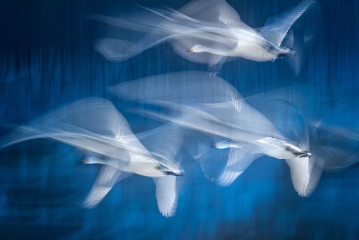 “Choreography Of Light” By Yoshiki Nakamura