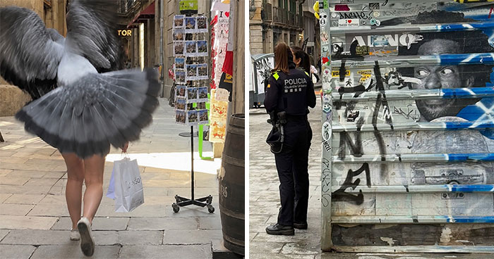 Wait Till You See These Hilarious Street Photos Where Everything Lines Up Just Right!
