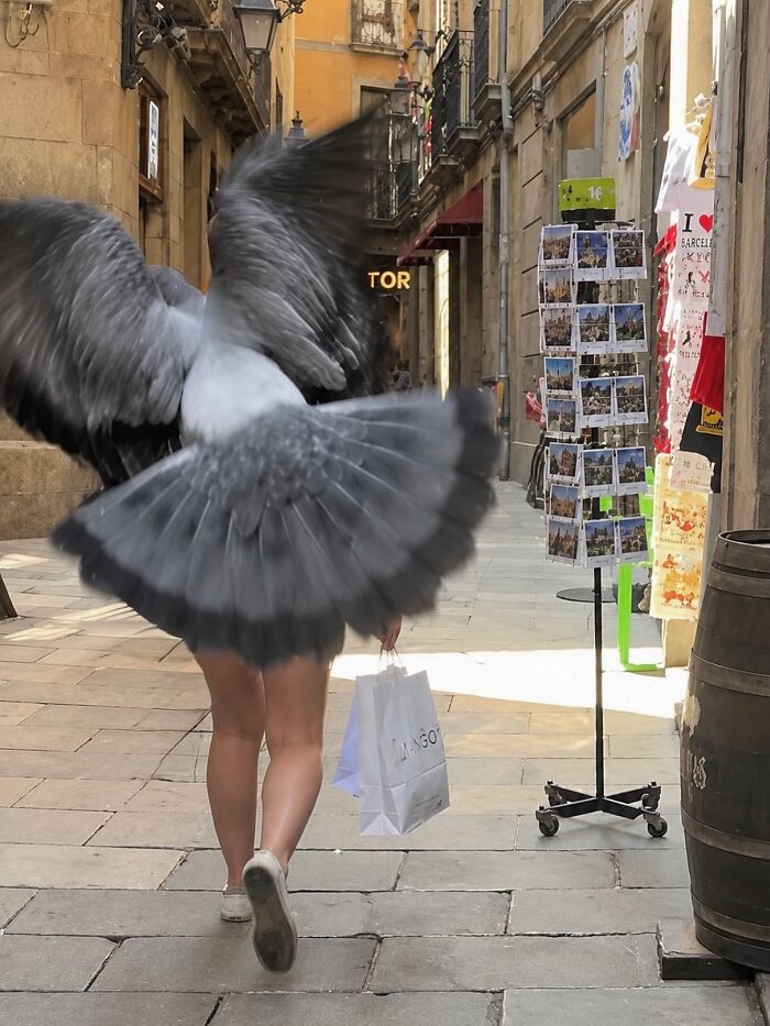 Wait Till You See These Hilarious Street Photos Where Everything Lines Up Just Right!