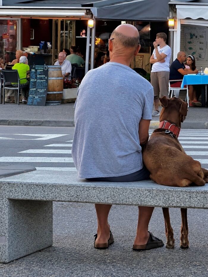 Wait Till You See These Hilarious Street Photos Where Everything Lines Up Just Right!