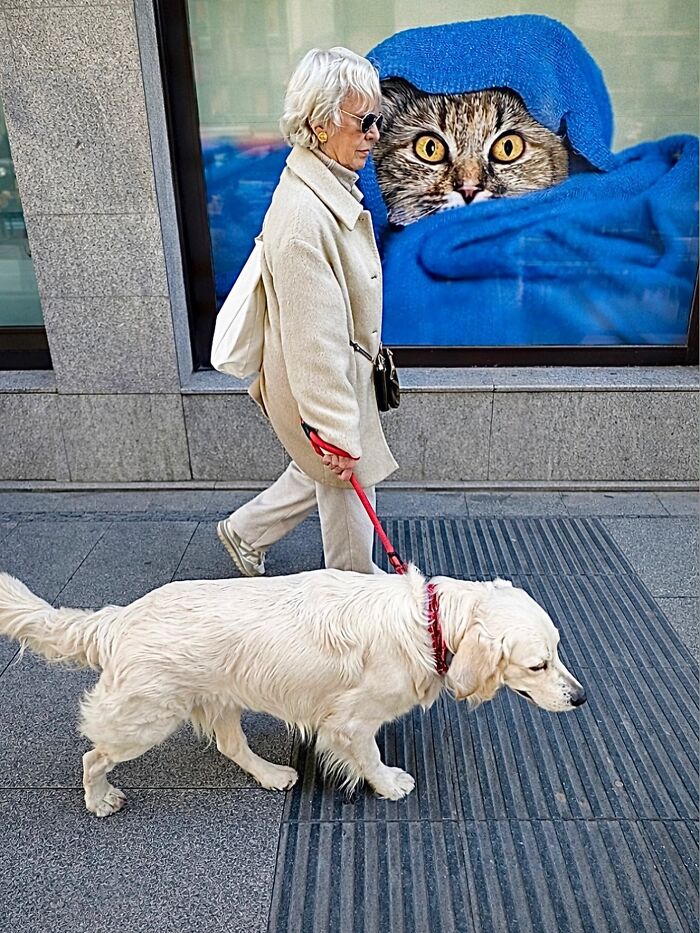 Wait Till You See These Hilarious Street Photos Where Everything Lines Up Just Right!