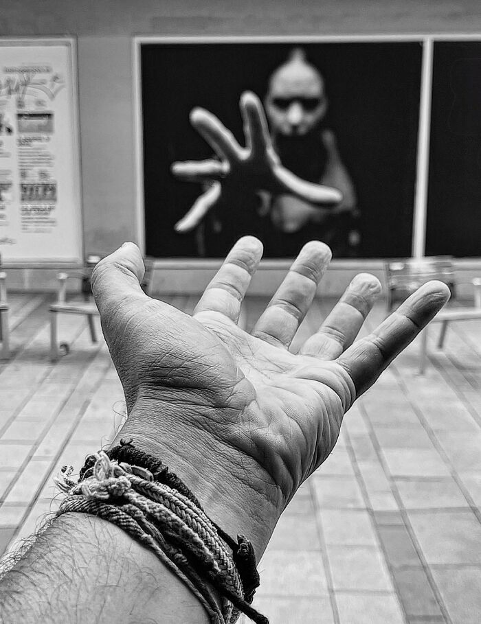 Wait Till You See These Hilarious Street Photos Where Everything Lines Up Just Right!
