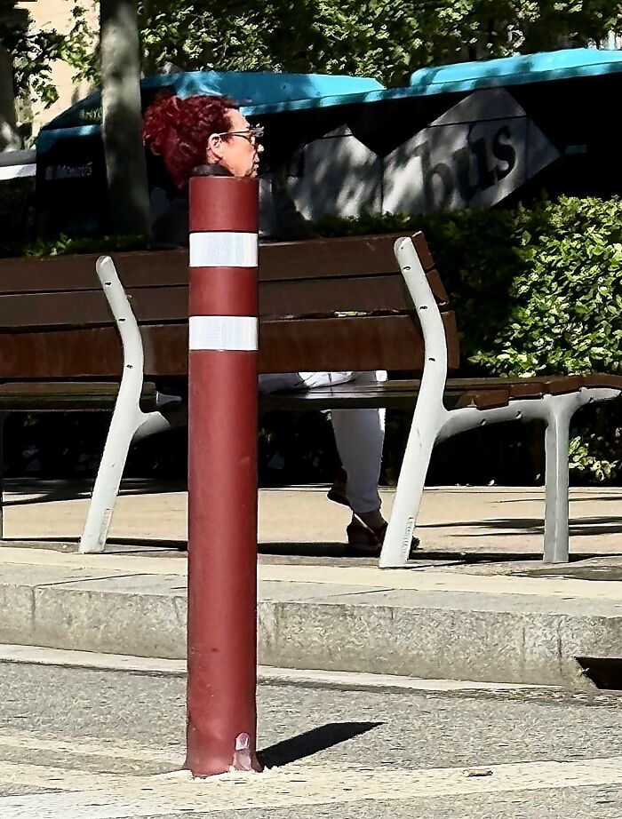 Wait Till You See These Hilarious Street Photos Where Everything Lines Up Just Right!