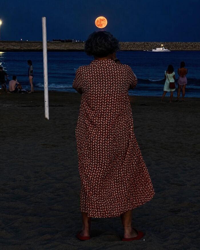 Wait Till You See These Hilarious Street Photos Where Everything Lines Up Just Right!