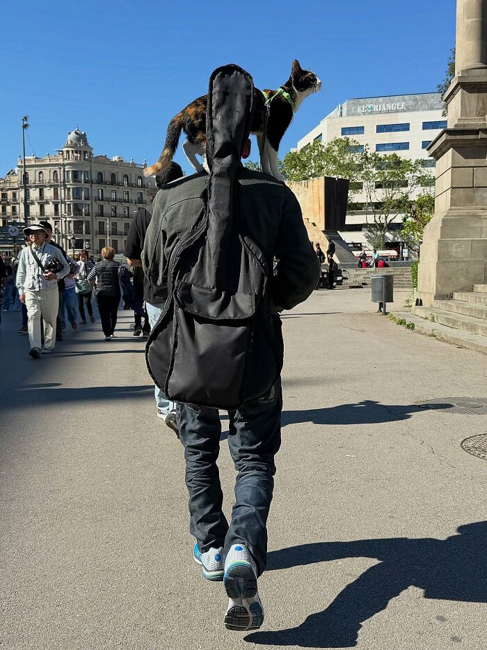 Wait Till You See These Hilarious Street Photos Where Everything Lines Up Just Right!
