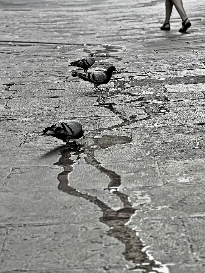Wait Till You See These Hilarious Street Photos Where Everything Lines Up Just Right!