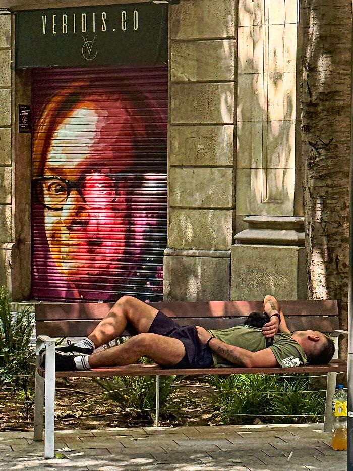 Wait Till You See These Hilarious Street Photos Where Everything Lines Up Just Right!