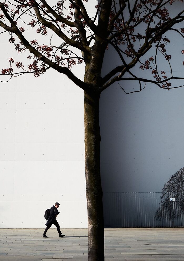35 Street Photos That Prove Everyday Life Is Full of Surprises