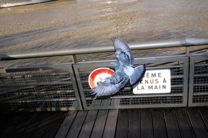 35 Street Photos That Prove Everyday Life Is Full of Surprises