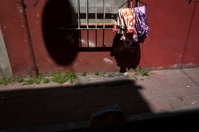 35 Street Photos That Prove Everyday Life Is Full of Surprises