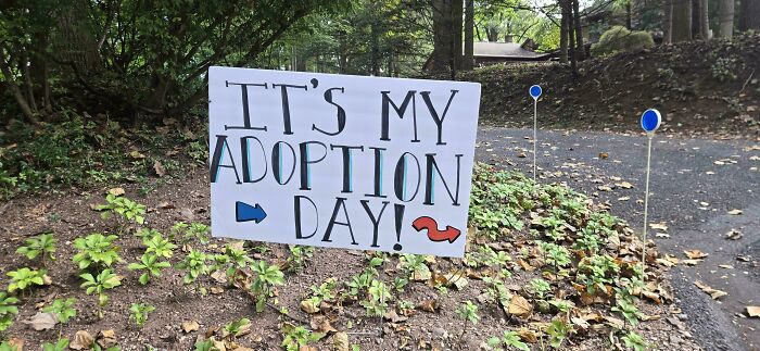 After 664 Days, Foster Dad Promoted To Official Dad
