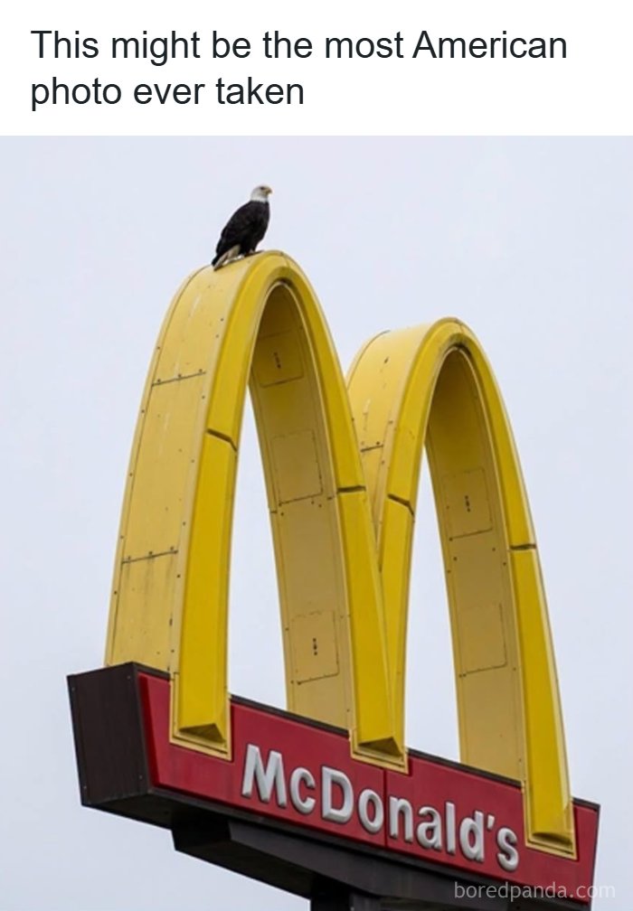 America's Funniest Fails: 105 Times We Just Had to Share the Goofs