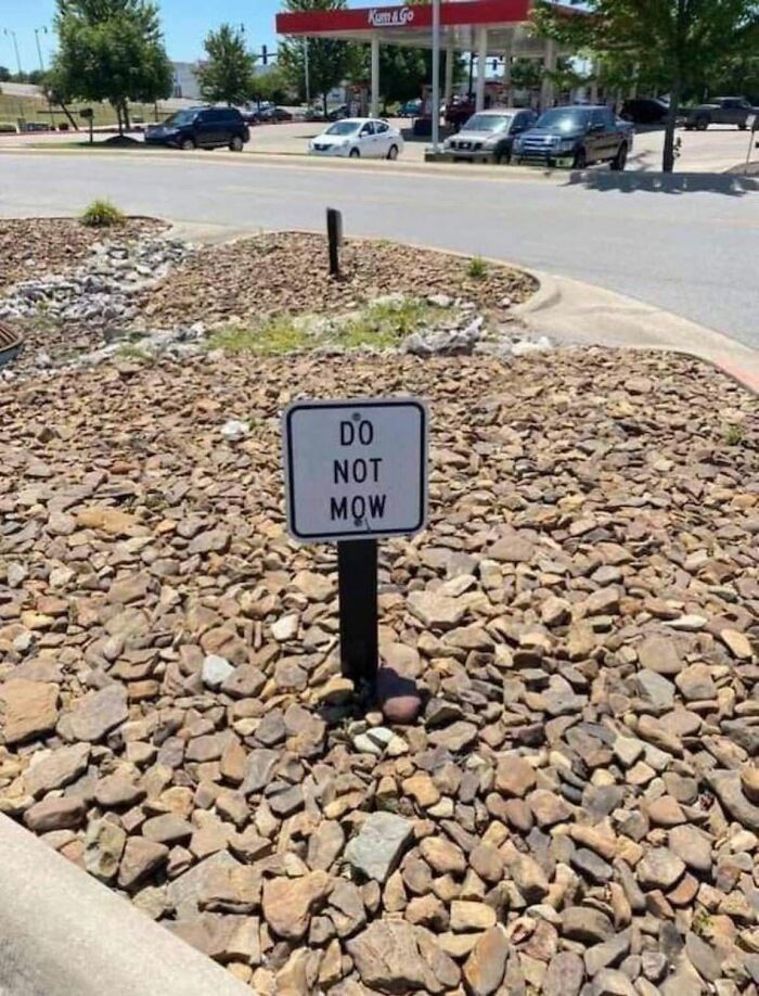 America's Funniest Fails: 105 Times We Just Had to Share the Goofs