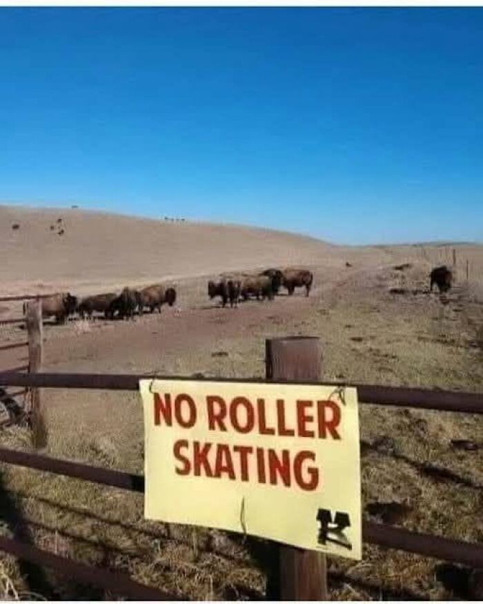 America's Funniest Fails: 105 Times We Just Had to Share the Goofs