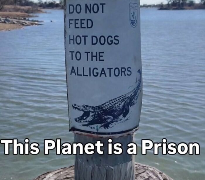 America's Funniest Fails: 105 Times We Just Had to Share the Goofs