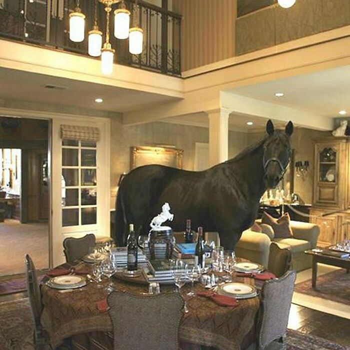 These Real Estate Listings Went WILD and You Have To See Them to Believe It