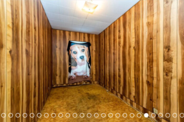 These Real Estate Listings Went WILD and You Have To See Them to Believe It