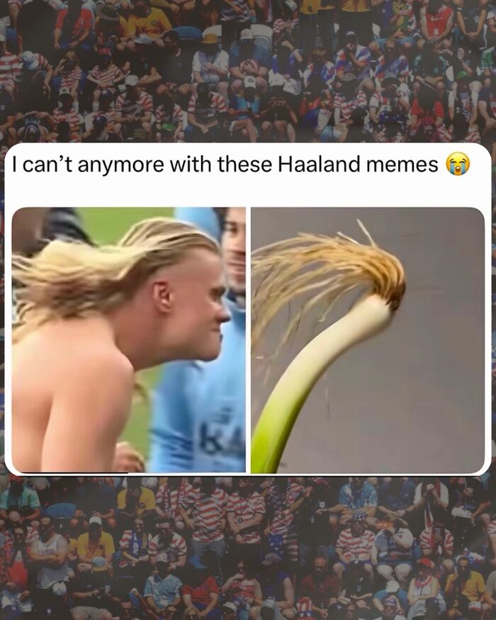 Win Or Lose, Haaland Memes Are Always A Win