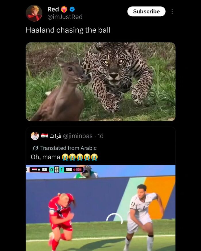 Haaland Meme Takeover Continues
