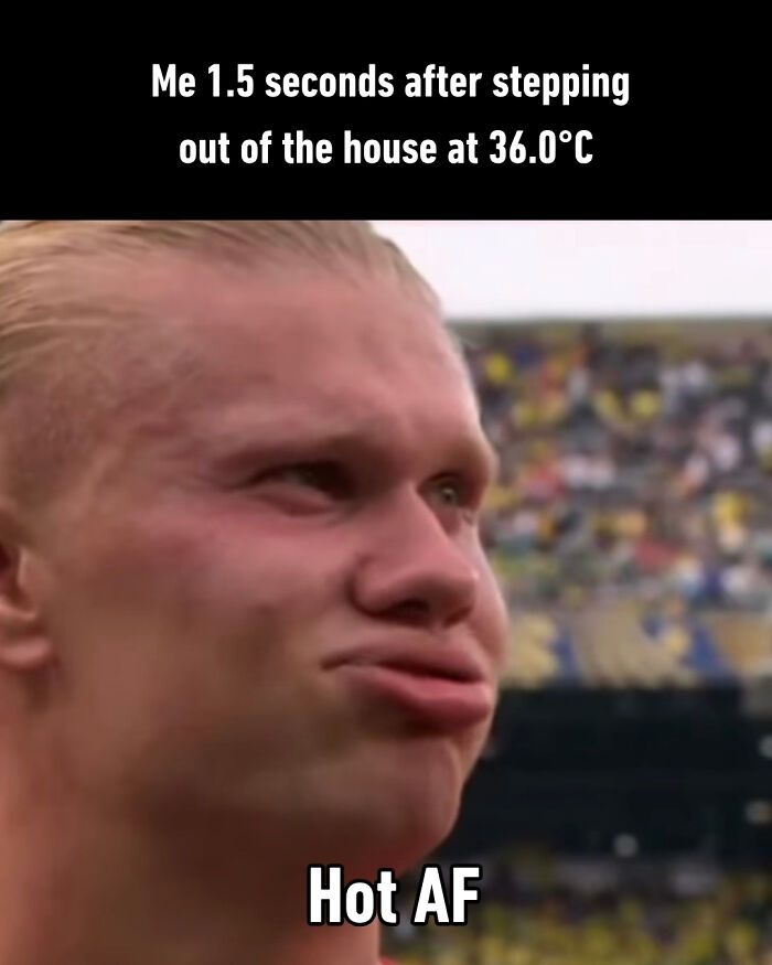 Yep, More Haaland Memes