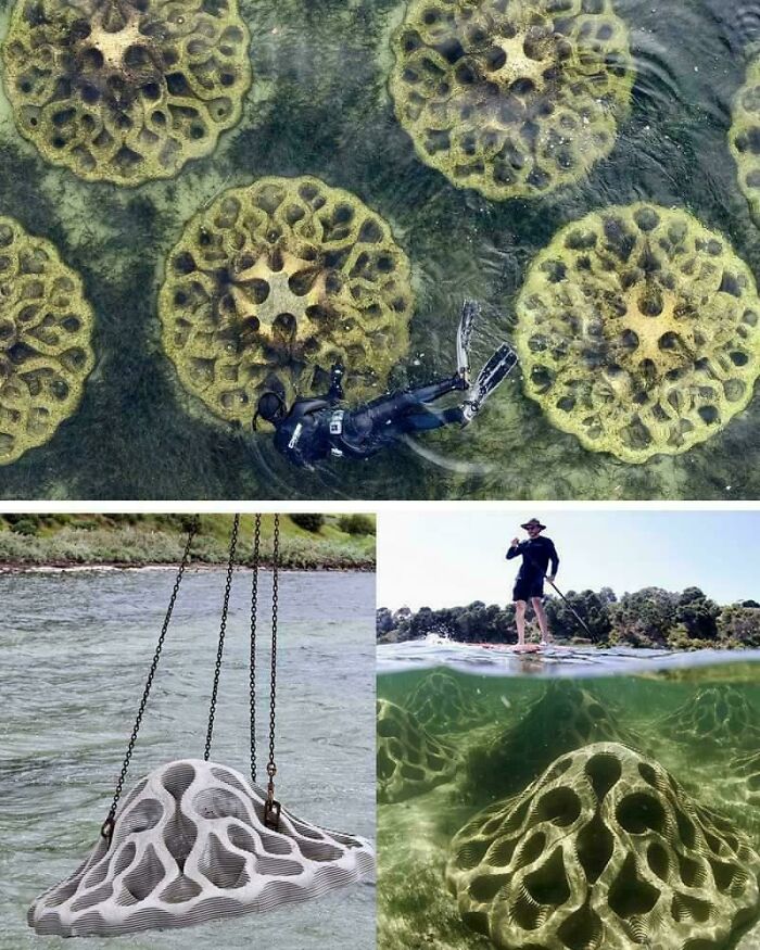 Concrete Wave Break Structures—Modern Art Or Mad Science?