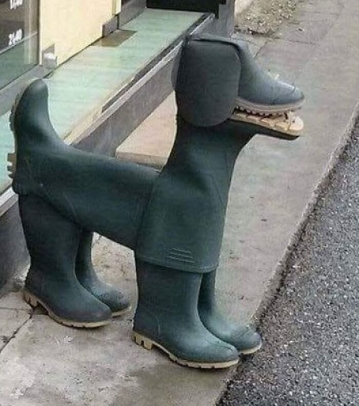 Terrifying Boot Dog: When Shoes Have Attitude