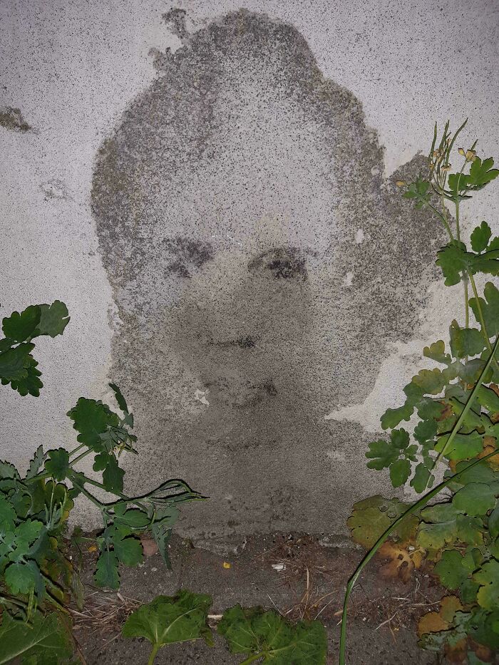 Wall Stain That Looks Exactly Like A Face—Spooky Decor Upgrade