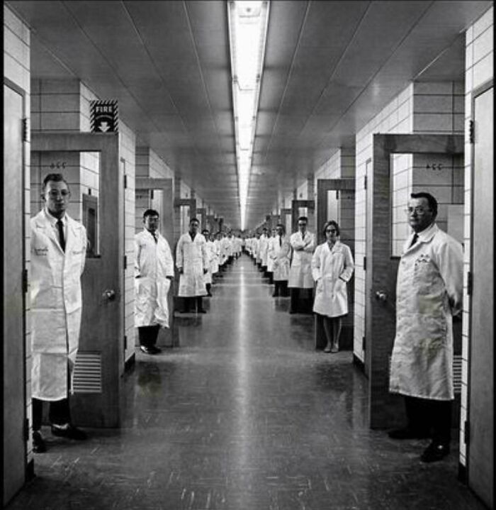 1966 Chemical Lab Photo With Serious Mad Scientist Vibes