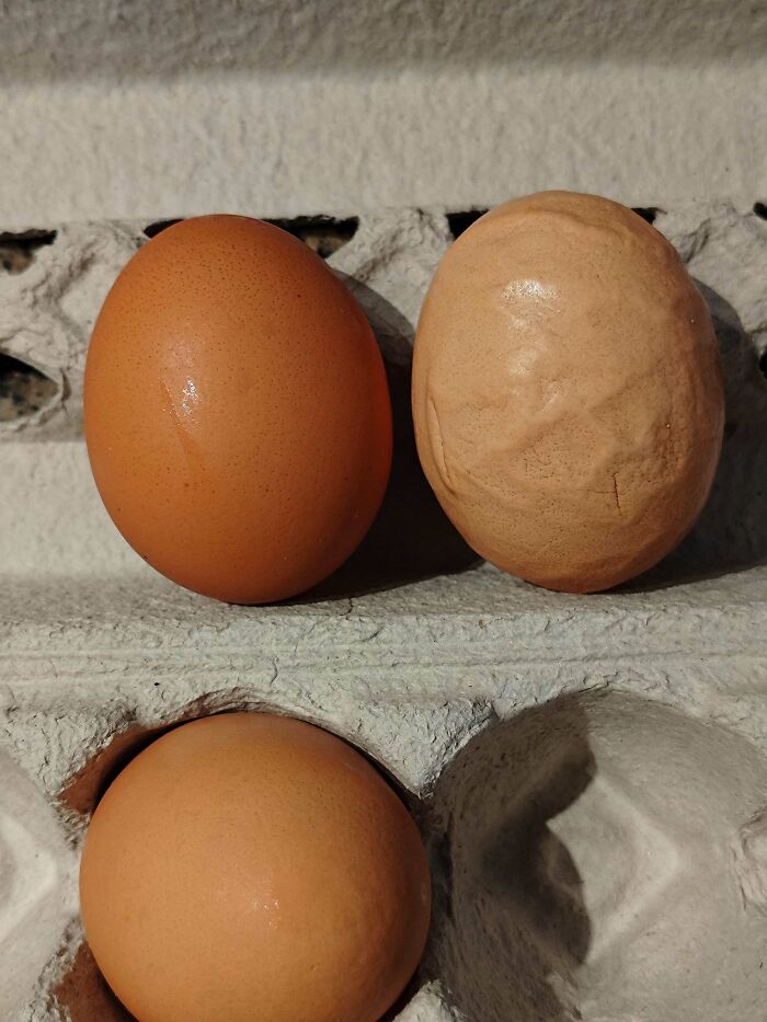This Veiny Brown Egg From The Grocery Store Is Kinda Throwing Us Off
