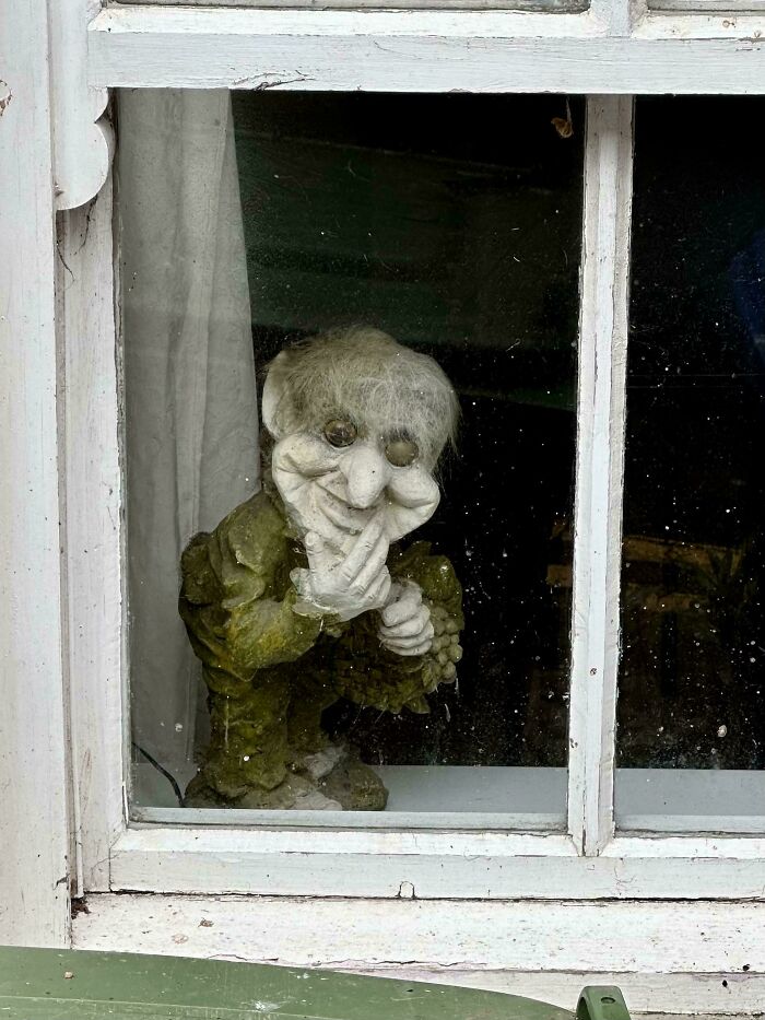 This Happy Dude Watching The World Go By Like A Boss