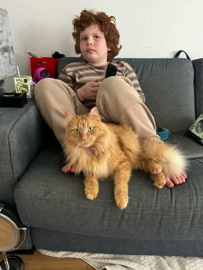 My Beautiful Boys—Orange & Orange-ish