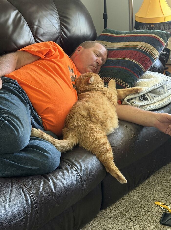 Charlie Licker Kitty—Professional Licker