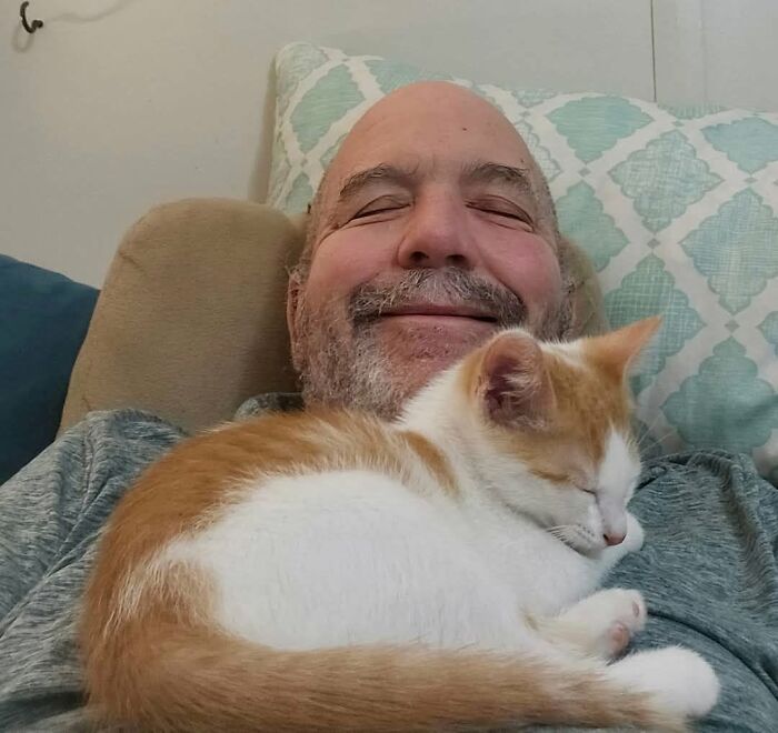 Lost My Husband Recently, But He LOVED This Kitten—Meet Frankie!