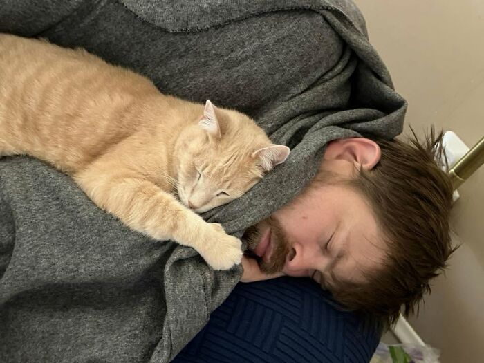 Meet Nicholas and Me: A Furry Family Resemblance