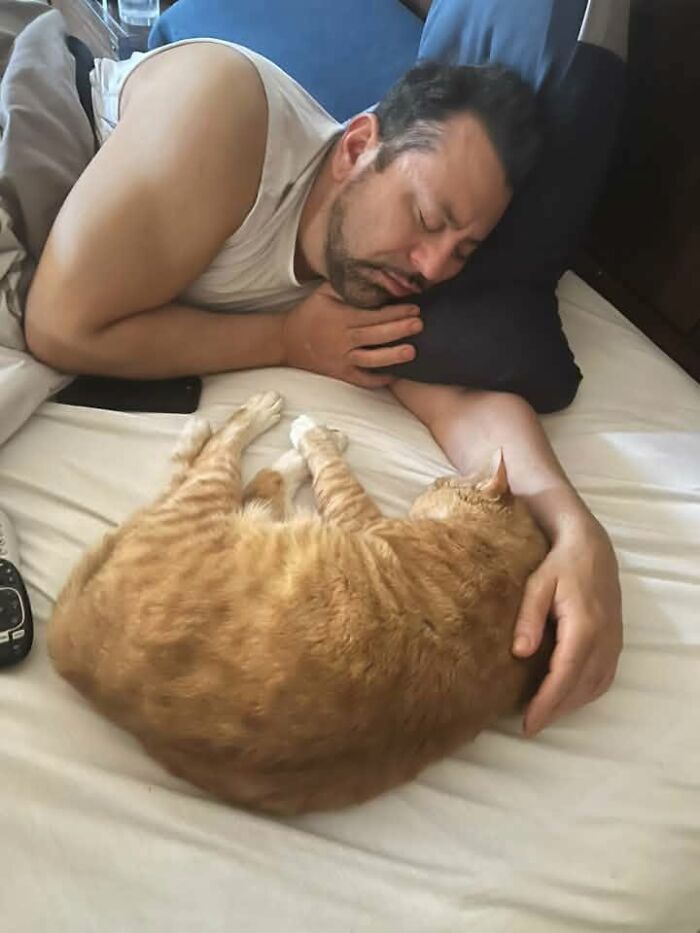 Boyfriend and Our Boy Heathcliff: Two Orange Legends