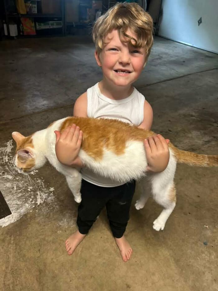 My Orange and His Brother—Double the Fun