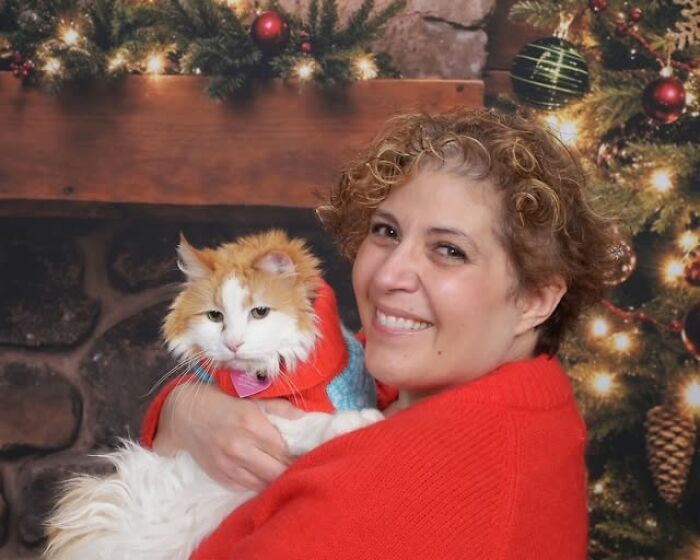 My Cat’s Name Is Curry Too! Our Christmas Card Twins