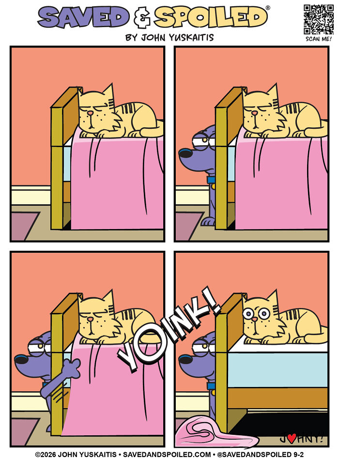 Blanket Battles
