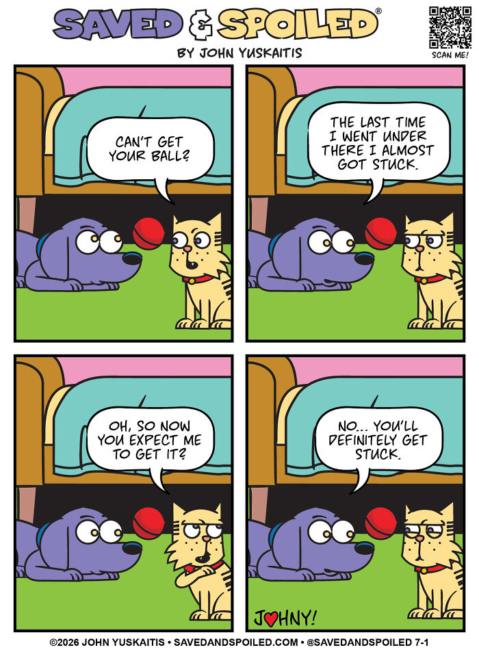 The Great Under-Couch Mystery