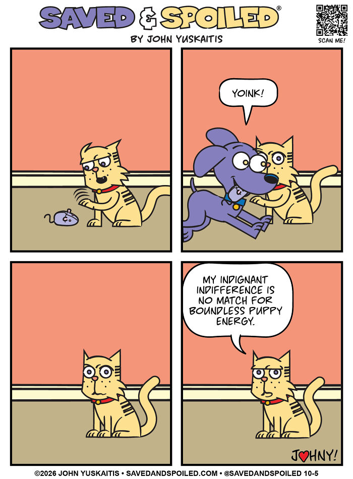 Toy Thief Strikes Again