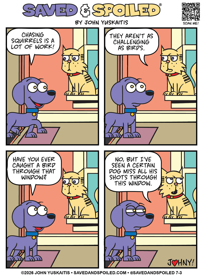 Squirrel vs Bird Math