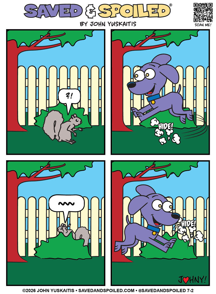 Hide and Seek Champion