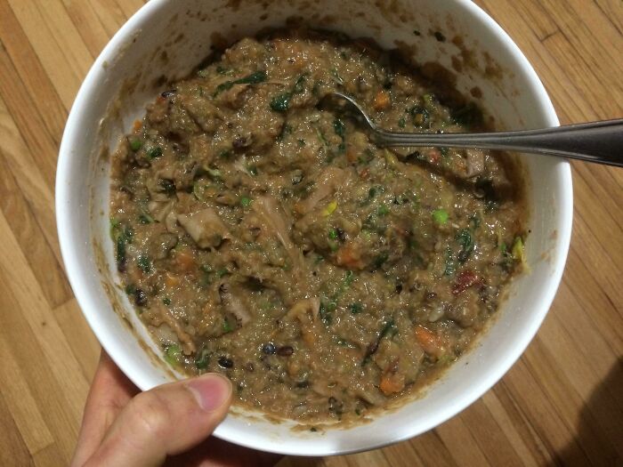 "You Vegans Eat Grass?" Nah, We Eat Dog Food Too!