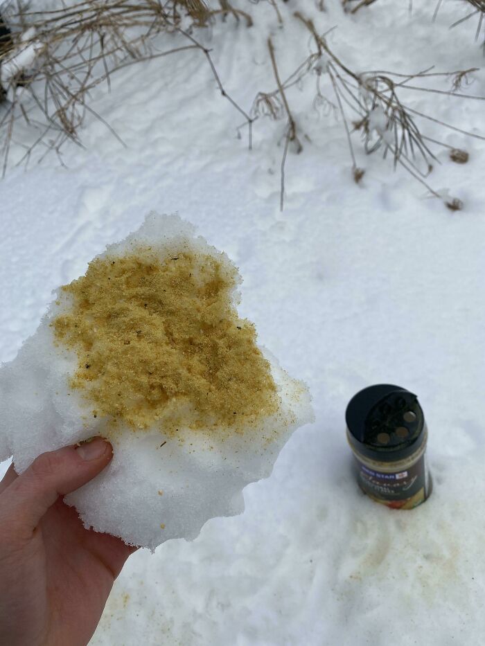 Some Vegan Snow With Nutritional Yeast. Fancy, Right?