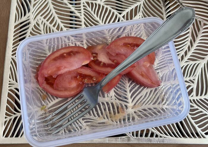 Wait, They Actually Ate These 75 Hilariously Bad Vegan Dishes?