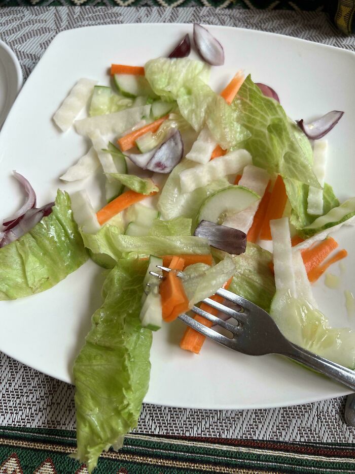 Wait, They Actually Ate These 75 Hilariously Bad Vegan Dishes?